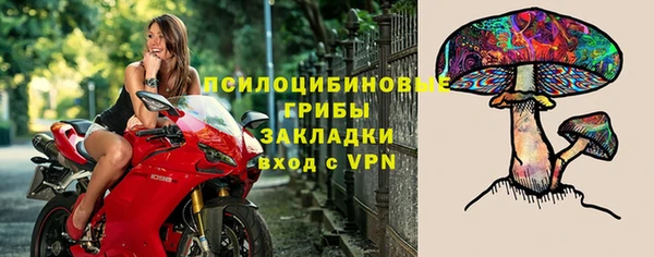 ПСИЛОЦИБИНОВЫЕ ГРИБЫ Балабаново