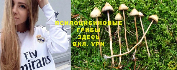 ПСИЛОЦИБИНОВЫЕ ГРИБЫ Балабаново